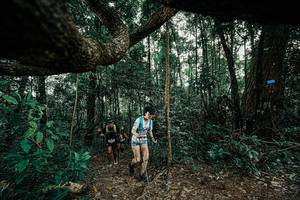 BIB: 
                            <button type="button" onclick="openModal(25391117)" class="btn btn-primary btn-sm float-right btn-popup" data-toggle="modal" data-target=".modal-high-quality">
                        <i class="fas fa-shopping-cart"></i> Add to Cart
                    </button>
                                            <button type="button" onclick="isThisMe(25391117, true)" class="btn btn-success btn-sm float-right btn-popup btn-isme hidden" data-toggle="tooltip" data-placement="bottom" title="นี่คือรูปของคุณใช่ไหม คลิกที่นี่เพื่อเอาเข้าอัลบั้ม">
                        <i class="fas fa-plus"></i> Add to album
                    </button>
                    <button type="button" onclick="isThisMe(25391117, false)" class="btn btn-warning btn-sm float-right btn-popup btn-isnotme hidden">
                        <i class="fas fa-ban"></i> Remove from album
                    </button>